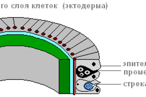 Кракен сайт krk market com